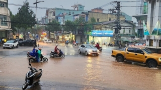 Sở Giáo dục và Đào tạo Gia Lai yêu cầu toàn ngành chủ động ứng phó với mưa lũ