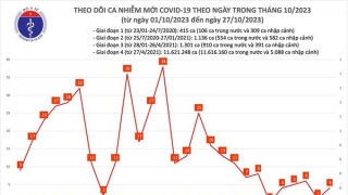 Tối 27/10: Ghi nhận 4 ca mắc COVID-19 mới