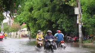 Các tỉnh, thành phố từ Nghệ An đến Phú Yên chủ động triển khai các biện pháp ứng phó với mưa lớn, ngập lụt