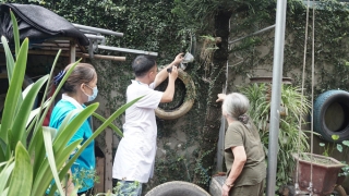 Hà Nội: Số ca mắc sốt xuất huyết giảm, còn 233 ổ dịch đang hoạt động