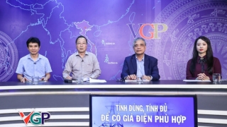 Tọa đàm 'Tính đúng, tính đủ để có giá điện phù hợp'