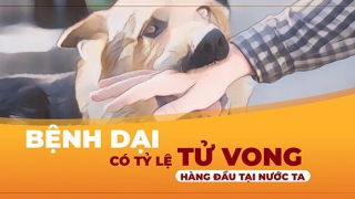 Gần như 100% người lên cơn dại đều tử vong