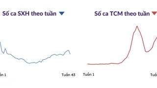 TP. Hồ Chí Minh: Số ca mắc tay chân miệng tăng, sốt ca sốt xuất huyết giảm