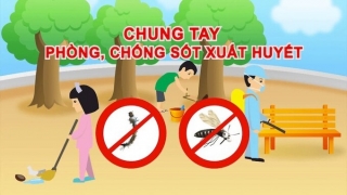 Ninh Bình tăng cường công tác phòng, chống dịch bệnh sốt xuất huyết Dengue