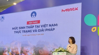 Hội thảo “Mức sinh thấp tại Việt Nam: Thực trạng và giải pháp”