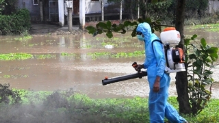 Bình Định phòng chống dịch bệnh, vệ sinh môi trường trong và sau mưa lũ