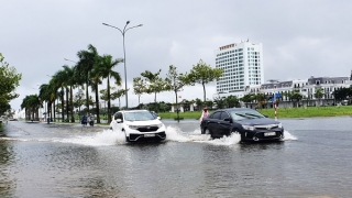 Cà Mau triển khai thực hiện công tác phòng, chống dịch bệnh và vệ sinh môi trường trong và sau mưa