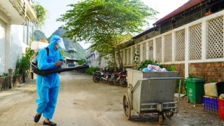 Quảng Bình ghi nhận gần 160 ca sốt xuất huyết trong tuần và 1 người tử vong