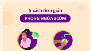 Các triệu chứng của cúm và cách bảo vệ bản thân cùng những người xung quanh