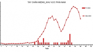 TP. Hồ Chí Minh: Số ca mắc bệnh tay chân miệng tại 20 tỉnh, thành phố đang có xu hướng giảm