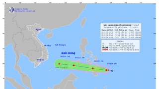 Xuất hiện cơn bão JELAWAT mới, nhiều khả năng vào biển Đông