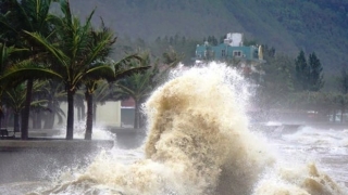 Ban chỉ huy phòng chống thiên tai và tìm kiếm cứu nạn các tỉnh, thành phố chủ động ứng phó với diễn biến của áp thấp nhiệt đới