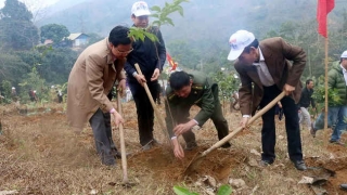 Lào Cai ban hành kế hoạch tổ chức phát động phong trào Tết trồng cây Xuân Giáp Thìn và trồng rừng năm 2024