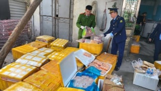 Hà Nội phát hiện cả tấn thực phẩm bẩn trong kho lạnh trong 1 căn nhà cấp 4 lụp xụp giữa cánh đồng