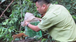 Lào Cai tuyên truyền, phổ biến công tác bảo tồn đa dạng sinh học và bảo vệ các loài hoang dã