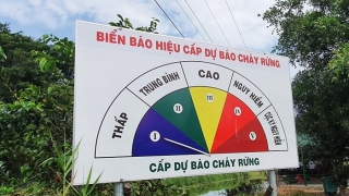 Cà Mau tăng cường công tác phòng cháy, chữa cháy rừng trước, trong và sau Tết Nguyên đán Giáp Thìn năm 2024