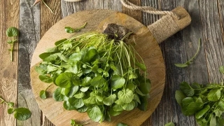 10 lợi ích của rau cải xoong