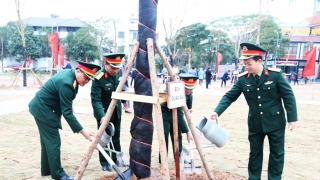 Bắc Ninh phát động “Tết trồng cây đời đời nhớ ơn Bác Hồ” nhân dịp Xuân Giáp Thìn 2024