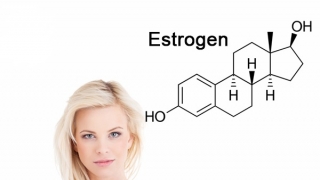 Estrogen và cảm xúc của phụ nữ