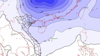 Cập nhật tin gió mùa Đông Bắc và rét đậm