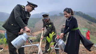 Yên Bái ban hành chỉ thị về việc tổ chức Tết trồng cây 'Đời đời nhớ ơn Bác Hồ” Xuân Giáp Thìn năm 2024