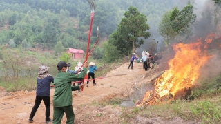 Bắc Ninh chỉ đạo tăng cường quản lý, bảo vệ, phòng cháy, chữa cháy rừng dịp Tết Nguyên đán Giáp Thìn