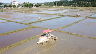 Hà Tĩnh chủ động ứng phó nguy cơ hạn hán, thiếu nước, xâm nhập mặn