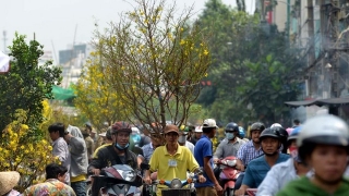 Thủ tướng chỉ đạo các giải pháp phòng ngừa tai nạn giao thông trong dịp Tết Nguyên đán Giáp Thìn và Lễ hội Xuân 2024