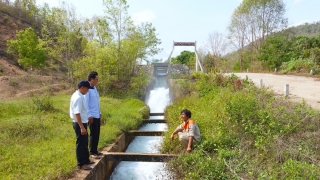 Gia Lai tăng cường thực hiện các giải pháp phòng, chống hạn hán, thiếu nước