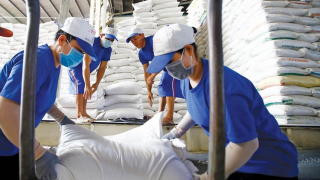 Xuất cấp gạo từ nguồn dự trữ quốc gia cho 3 tỉnh dịp Tết Nguyên đán Giáp Thìn 2024