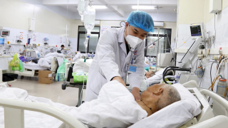Quảng Ninh cấp cứu 1 trường hợp ngộ độc nguy kịch do ăn lá ngón