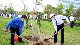 Hà Nội ban hành kế hoạch tổ chức “Tết trồng cây đời đời nhớ ơn Bác Hồ” Xuân Giáp Thìn 2024