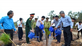 Quảng Nam phát động “Tết trồng cây đời đời nhớ ơn Bác Hồ” xuân Giáp Thìn 2024