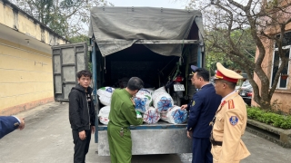 Tuyên Quang phát hiện, thu giữ 1,4 tấn mỡ lợn không rõ nguồn gốc trên phương tiện vận tải