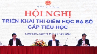 Hội nghị triển khai thí điểm học bạ số cấp tiểu học