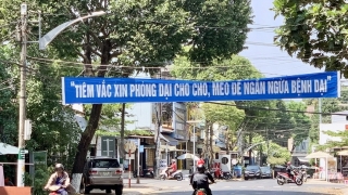 Gia Lai: Ghi nhận thêm 1 trẻ tử vong do bệnh dại