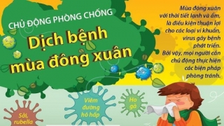 Ninh Bình tăng cường công tác phòng, chống dịch bệnh ho gà, sởi