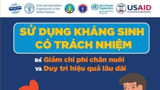 Hà Nội thực hiện Chiến lược quốc gia về phòng, chống kháng thuốc