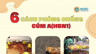 6 cách phòng chống cúm A (H5N1)