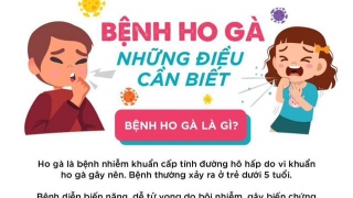 Infographic bệnh ho gà - Những điều cần biết