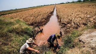 Thủ tướng chỉ thị tăng cường phòng, chống nắng nóng, hạn hán, thiếu nước, xâm nhập mặn