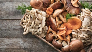 9 lợi ích của nấm