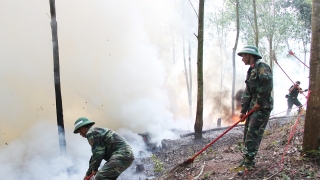 Bắc Giang tăng cường các biện pháp cấp bách phòng cháy, chữa cháy rừng