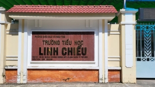 Sở Y tế TP. Hồ Chí Minh: Thông tin về vụ ngộ độc thực phẩm tại 2 trường Tiểu học Linh Chiểu (Thủ Đức) và Đặng Trần Côn (Quận 4)