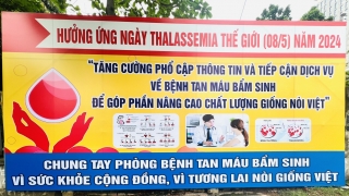 Ngày Thalassemia thế giới 8/5: Tầm soát để sớm phòng bệnh tan máu bẩm sinh