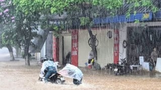 Lào Cai chủ động ứng phó với mưa kèm theo dông lốc, sét, mưa đá và gió giật mạnh