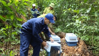 Quảng Bình thả 17 cá thể động vật hoang dã về môi trường tự nhiên