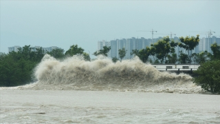 Các tỉnh, thành phố ven biển chủ động ứng phó với vùng áp thấp có khả năng mạnh lên thành áp thấp nhiệt đới