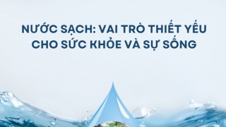 Nước sạch: Vai trò thiết yếu cho sức khỏe và sự sống