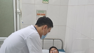 Lào Cai: Mẫu nấm gây ngộ độc tại huyện Văn Bàn dương tính với độc tố Psilocin